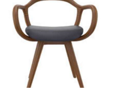 Stühle Wohnzimmer Esszimmer Lehnstuhl Holzstuhl mit Armlehne Esszimmer Möbel